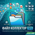 Мгновенная сортировка и сбор файлов. Вы устали вручную «вытаскивать» файлы из десятков папок?